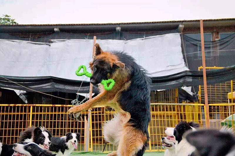 Pet Toys, Dog Toys, Durable Chew Sticks, Bones, Golden Retriever, Border Collie, Labrador, Large Dog Boredom-Relief Toys
