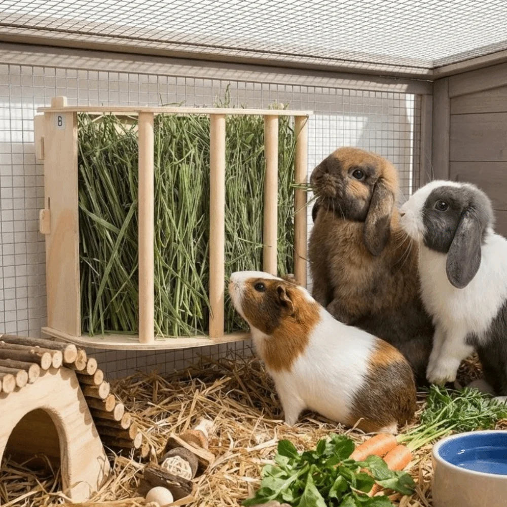 Practical Wooden Bunny Hay Feeder Hanging Fixed Built-in Hay Feeder Rack Detachable Grass Dispenser Guinea Pig Feeder Hamster