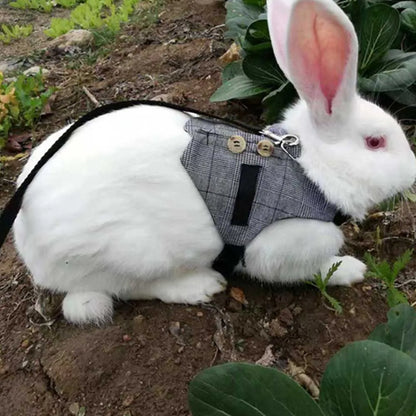 Rabbit Vest with Leash Soft Breathable Gentlemanly Style Rabbit Clothes for Playing Exercising and Outdoor Activities