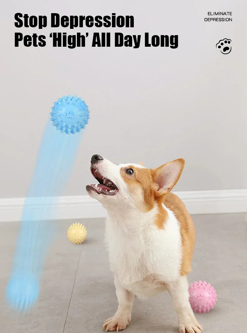 Dog Toys Bichon Frise Teddy Braided Rope Knot Indoor Training Interactive Play Grinding Teeth Cleaning Rubber Pets Toy Supplies