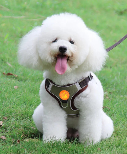 Small Medium Dogs Harness Vest Walking Traction Rope Reflective Straps, Soft Mesh Harness Breathable Pet Supplies