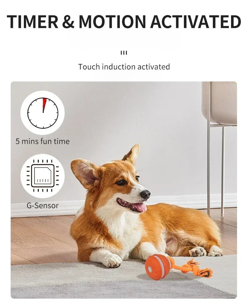 Pet Ball for Dogs Interactive Toys Motion Activate Rolling Ball for Puppy/Small Dogs Automatic Moving Toy USB Rechargeable Toy