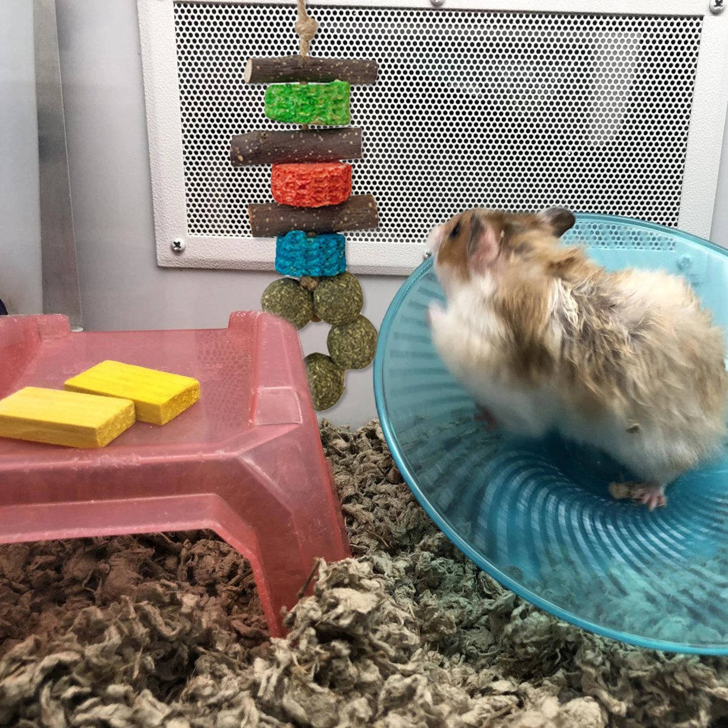 Guinea Pig Chew Toys Healthy Teeth Oral Care Tools Wooden Hamster Chews Pet Supplies Toys For Hedgehogs Degus Rabbit Chinchillas