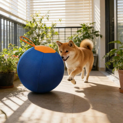 Large Dog Ball Interactive Moving Toys Pet Supplies Herding Ball for Dogs Breed for Puppy Small Medium Large Breed Keep Busy
