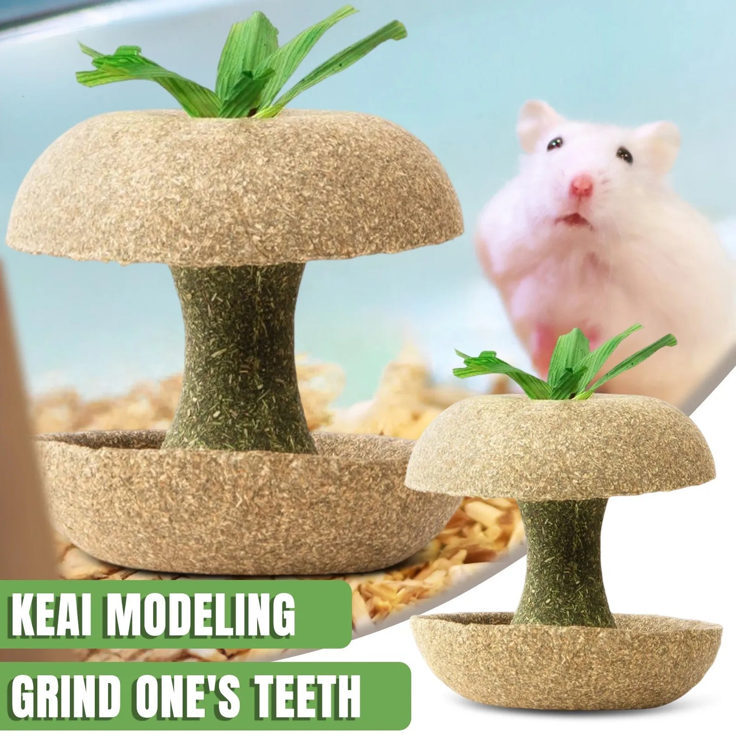 Hamster Chew Toys For Teeth Guinea Pig Chew Toys For Teeth Food Chews Treats Hamster Cage Accessories