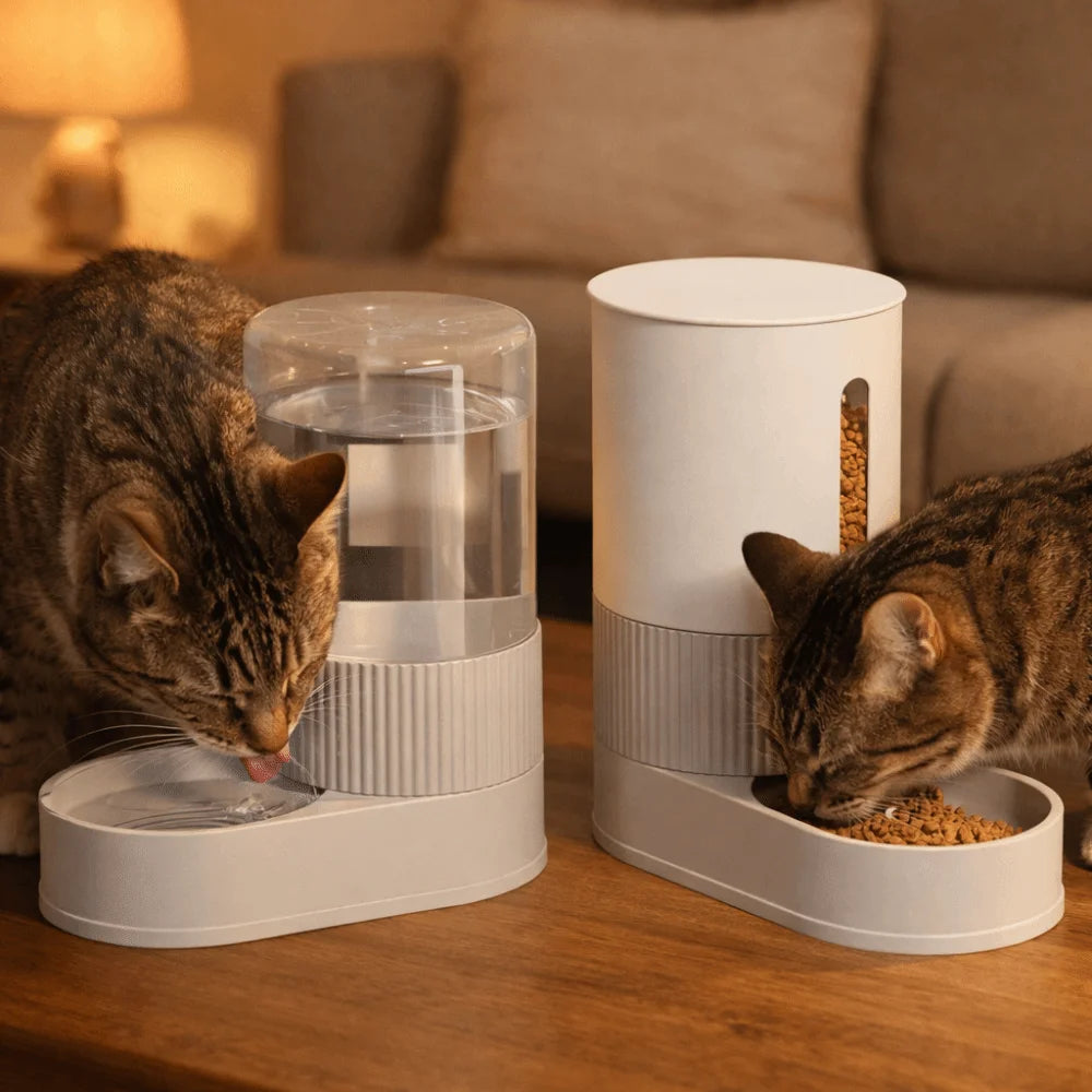 Transparent Automatic Pet Feeder Large Capacity Detachable Pet Water Dispenser Plastic Spill Proof Pet Water Fountain