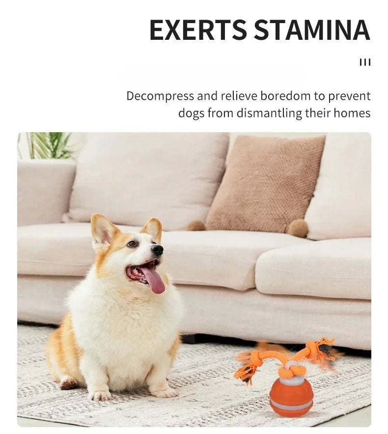 Pet Ball for Dogs Interactive Toys Motion Activate Rolling Ball for Puppy/Small Dogs Automatic Moving Toy USB Rechargeable Toy