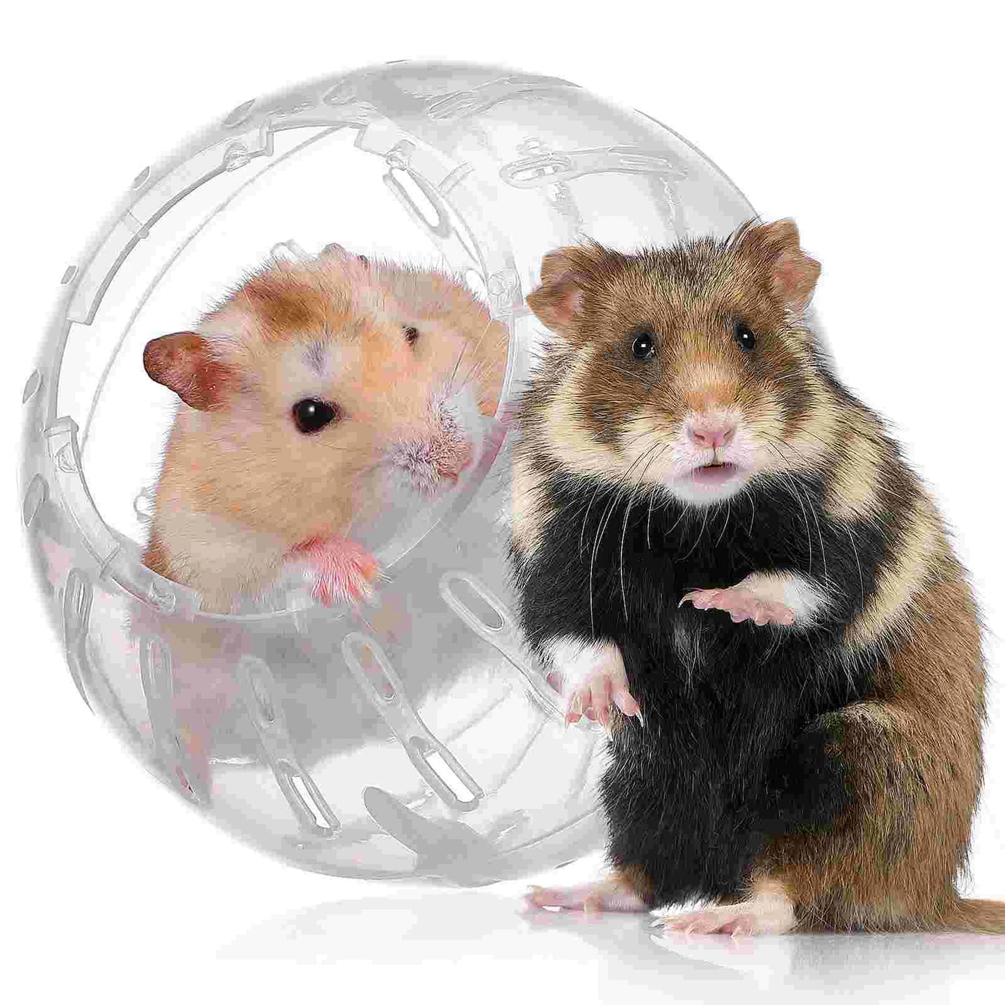 Hamster balls Dwarf & Small Animal Exercise Mini Rolling Toys Pet Gerbil Quiet Hamster Wheel exercise balls for hamster