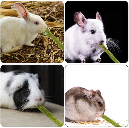 Pets Chewing Toys Carrot Timothy Hay Molar Sticks for Rabbits Guinea Pig Hamsters Chinchilla Bunny Chew Toys Teeth Treats