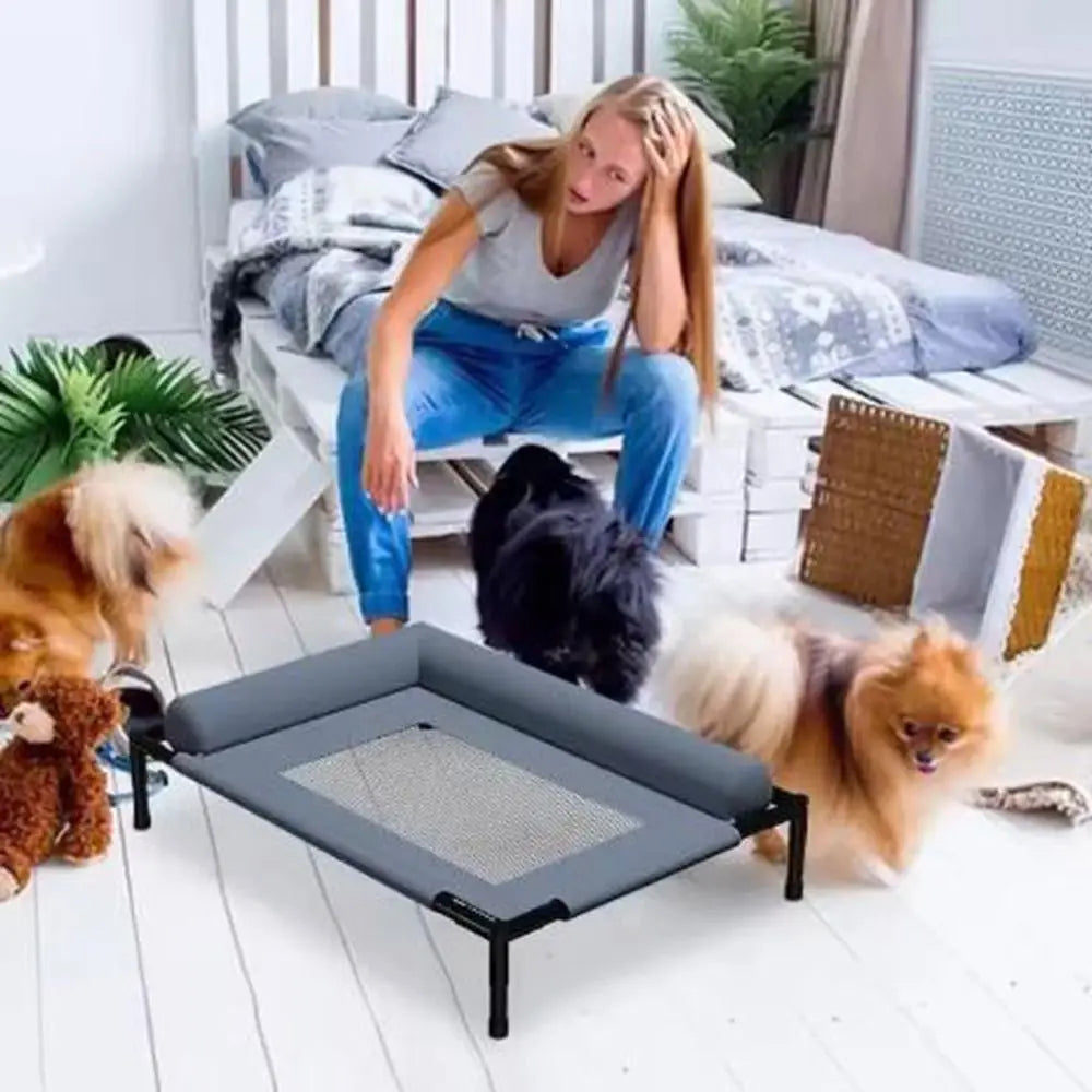 Pet Furniture Mesh Elevated Dog Beds Breathable Removable Raised Dog Bed with Pillow Outside Dog Bed Cat Patio Sunbathing