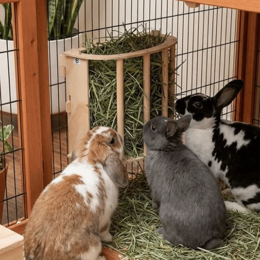 Practical Wooden Bunny Hay Feeder Hanging Fixed Built-in Hay Feeder Rack Detachable Grass Dispenser Guinea Pig Feeder Hamster