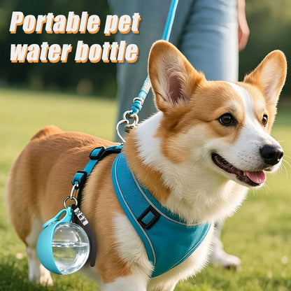 Plastic pet water bottle, outdoor preparation with pink and blue foldable bowls,