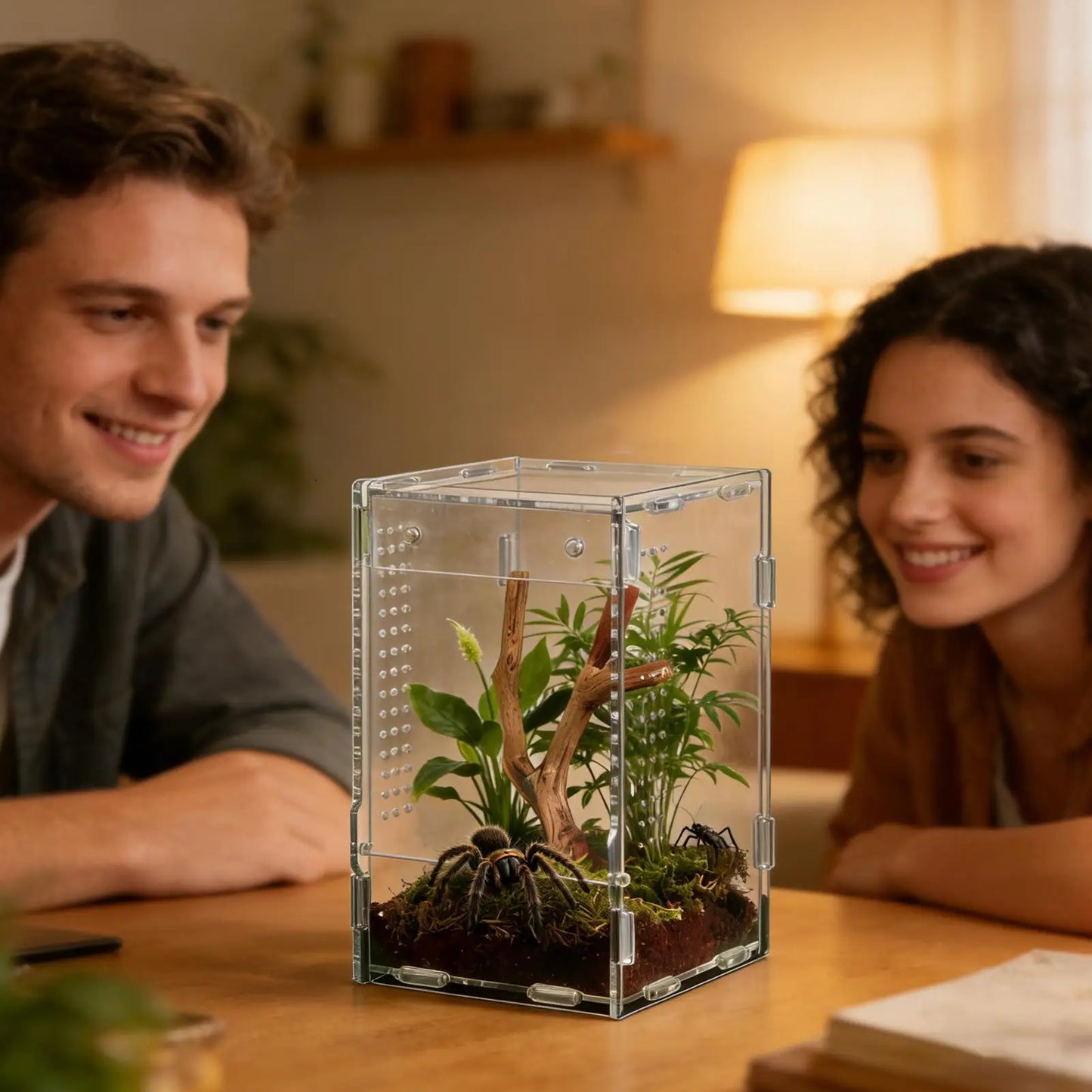 Reptile Enclosure Front Opening Escape Proof Habitat Acrylic Jumping Spider Habitat For Observation Home Pet Store Office