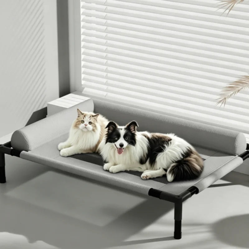 Medium Large Pet Bed Breathable Raised Mesh Sofa for Cats And Dogs with Removable Washable Pillow Moisture-Proof Off-the-Ground