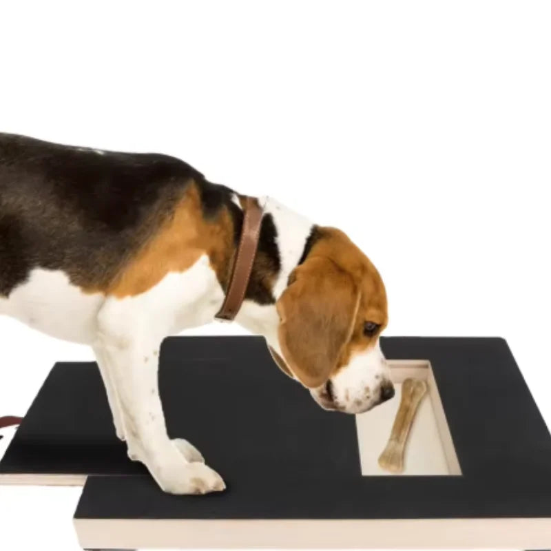 Wooden Pet Scratching Board with Built-in Treat Box Dog Nail Trim Pad Pull-Out Nail Scratch Board Toy Sandpaper Board Scratcher
