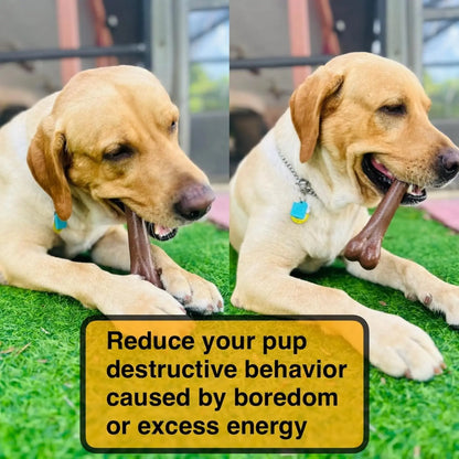 Dog Bone Chews Toys Nearly Indestructible Natural Non-Toxic Anti-Bite Puppy Toys For Small Medium Large Dog Pet Training Toys