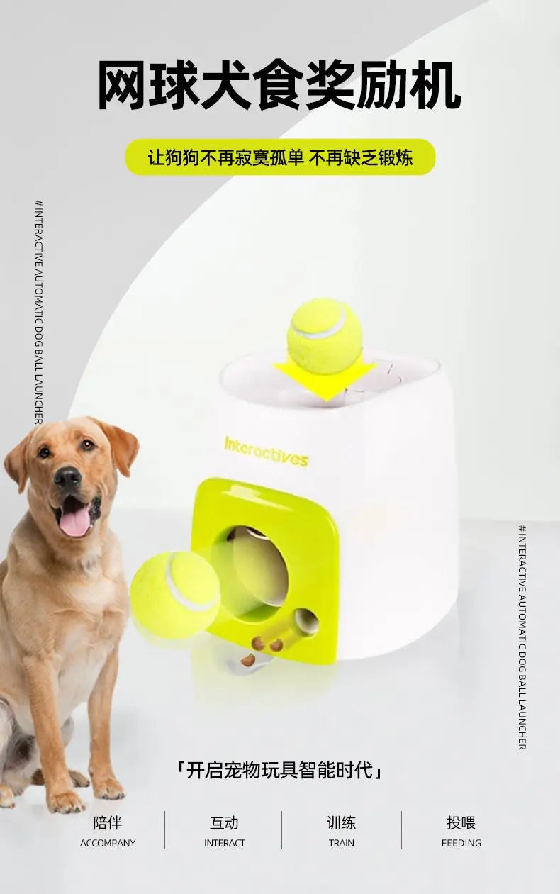 Pet Tennis Tee Machine Dog Supplies Outdoor Interactive Training Automatic Leak Food Launcher Toy