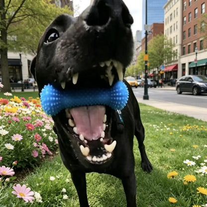 Dog Chew Toy Interactive Tug Rope Toy Quiet Durable Plastic Chew Stick With Gum Massage Nubs For Small Medium Dogs
