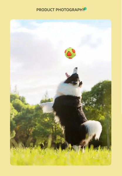 Pet TPR Toy Ball Interaction Pets Relieving Boredom Bite Resistance Small Medium-sized Dog Grinding Sleeping Venting Ball Flash