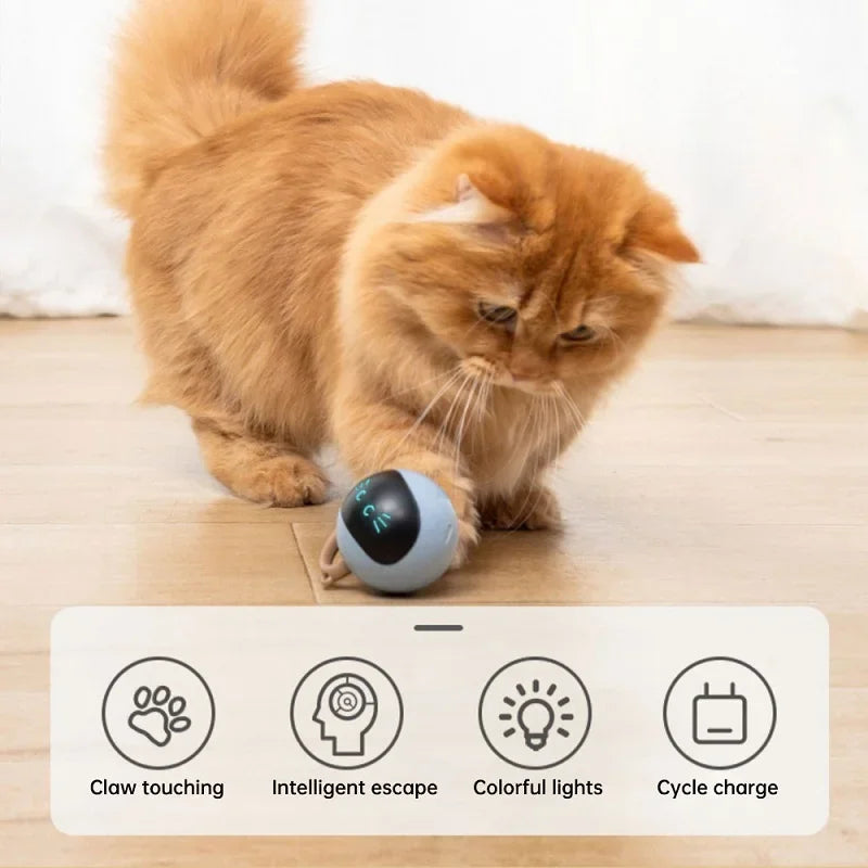 Cat Training Sounds Smart Cat Toys Interactive Ball Toys Dog  Squeaks Dog Cat Play Gravity Ball
