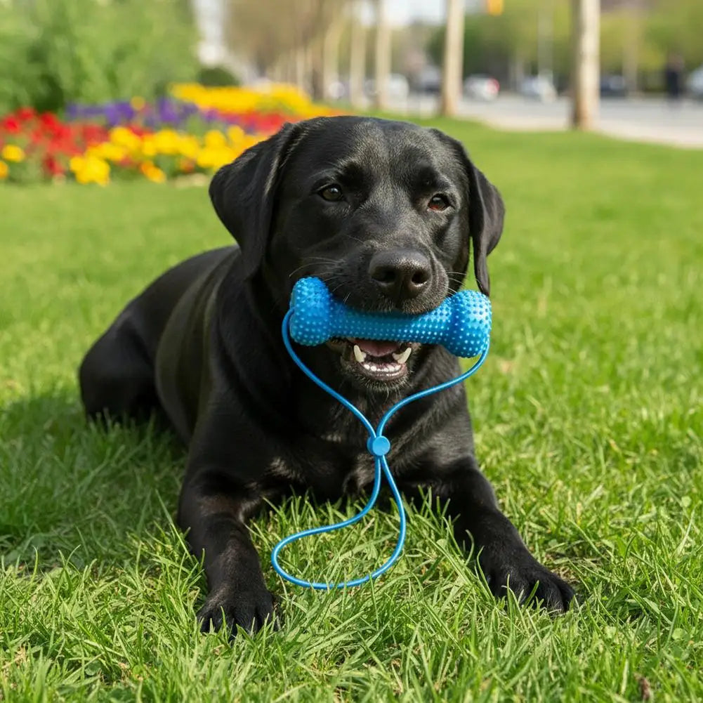 Dog Chew Toy Interactive Tug Rope Toy Quiet Durable Plastic Chew Stick With Gum Massage Nubs For Small Medium Dogs