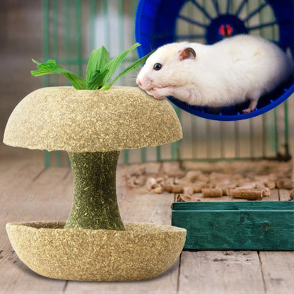 Hamster Chew Toys For Teeth Guinea Pig Chew Toys For Teeth Food Chews Treats Hamster Cage Accessories