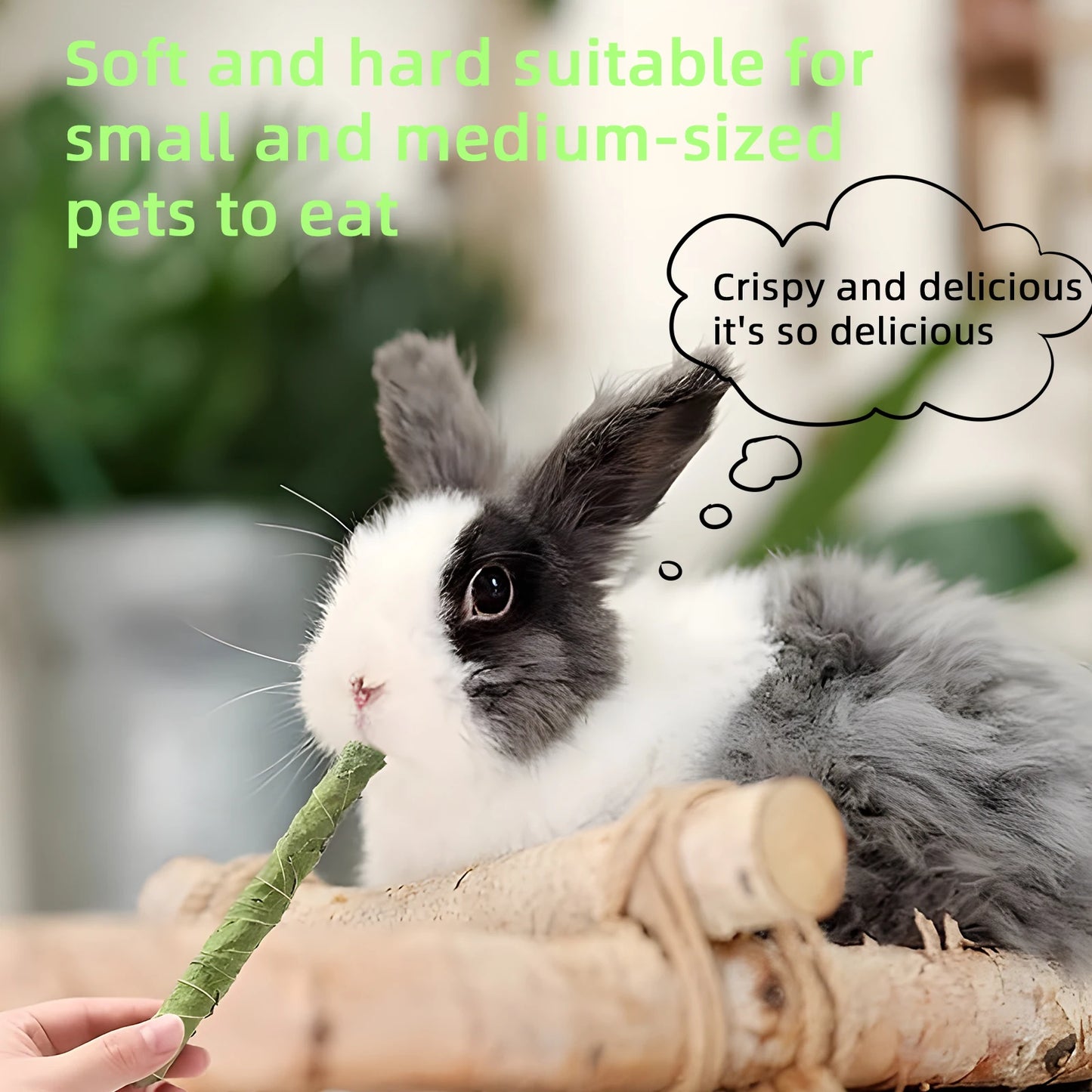 Rabbit Hamster Teeth Grinding Toys, Snacks, Natural Air Dried Natural Mulberry Leaf, The Toy of Choice for Small Pets