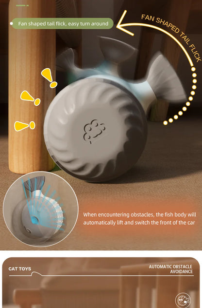 New pet self entertainment toy car, cat teasing tool, electric flying fish, intelligent running car, cat toy
