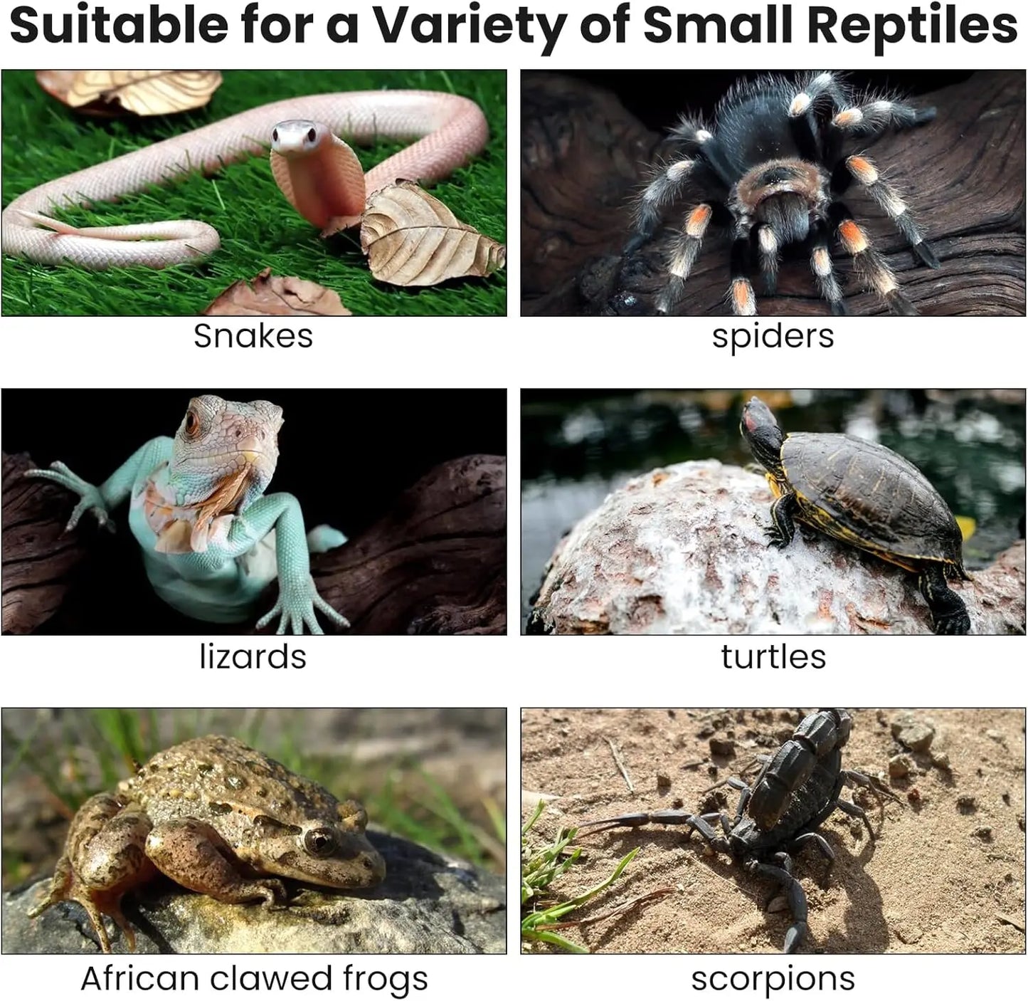 Reptile Breeding Box Terrarium Turtle Tank Silkworm Spider Horned Frog Gecko Lizard Snail Cage Portable Habitat Enclosure
