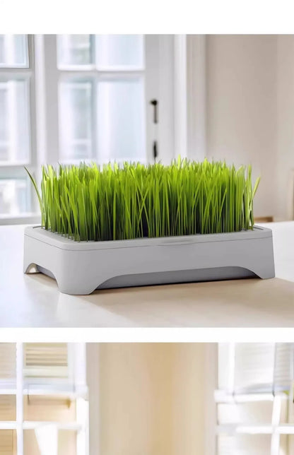 Pet Cat Grass Hydroponic Planter Pot Kitten Wheat Seedling Soilless Planting Device for Indoor Home Garden Plant Care