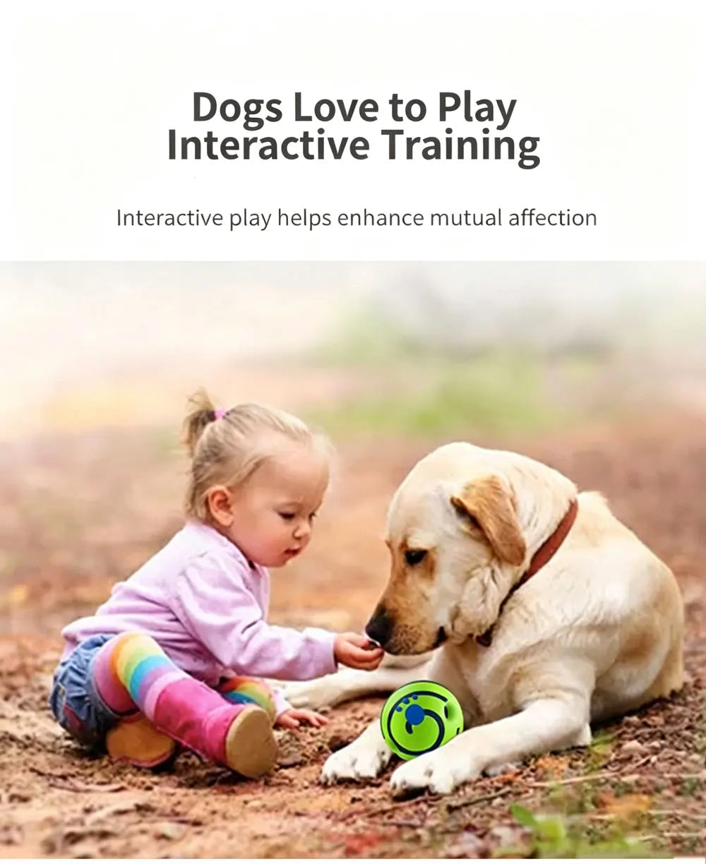 Medium-sized And Large-sized Dogs' Sounding Toys Are Boredom-relieving Artifacts, And Dogs' Self-raising Sounding Balls Are Resi
