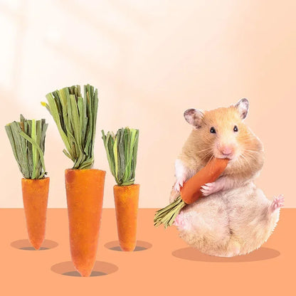 3pcs Guinea Pig Hamster Rabbit Teeth Fruit Grinding Small Pet Supplies Minerals Molar Stone Chew Toys for Chinchilla Dog Totoro