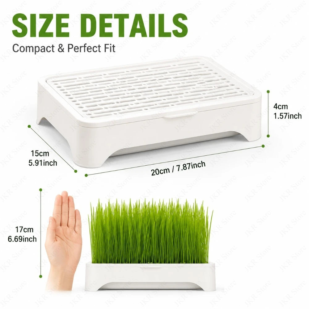 Pet Cat Grass Planting Pot Soilless Hydroponic Wheat Seedling Planter Kit for Kitten Indoor Gardening Horticultural Plant Use