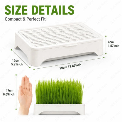 Pet Cat Grass Planting Pot Soilless Hydroponic Wheat Seedling Planter Kit for Kitten Indoor Gardening Horticultural Plant Use