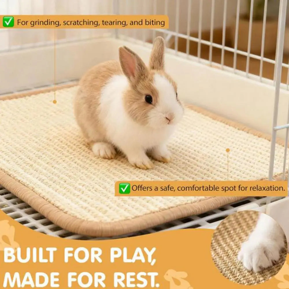 Rabbit Scratching Mat Indoor Foraging Scratcher Rug 15.7x23.6 In Scratch Board For Cage Hutch Floor Home Resting Biting Sleeping
