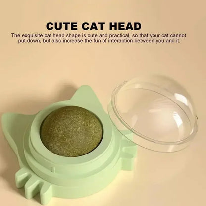 Catnip Toys for Cats Indoor Interactive Wall Spin Ball Natural Mint Enhances Digestion Appetite Stimulant Cat Dental Care