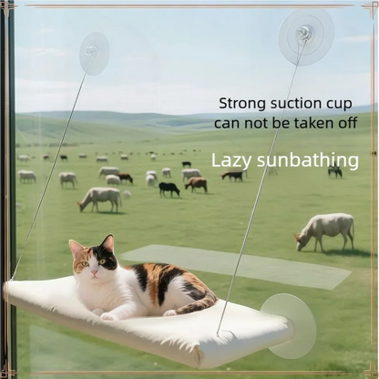 New Pet Cat Hammock Hanging Cat Bed Bearing 20 kg Comfortable Sunny Window Seat Kitten Rock Climbing Frame Pet Supplies