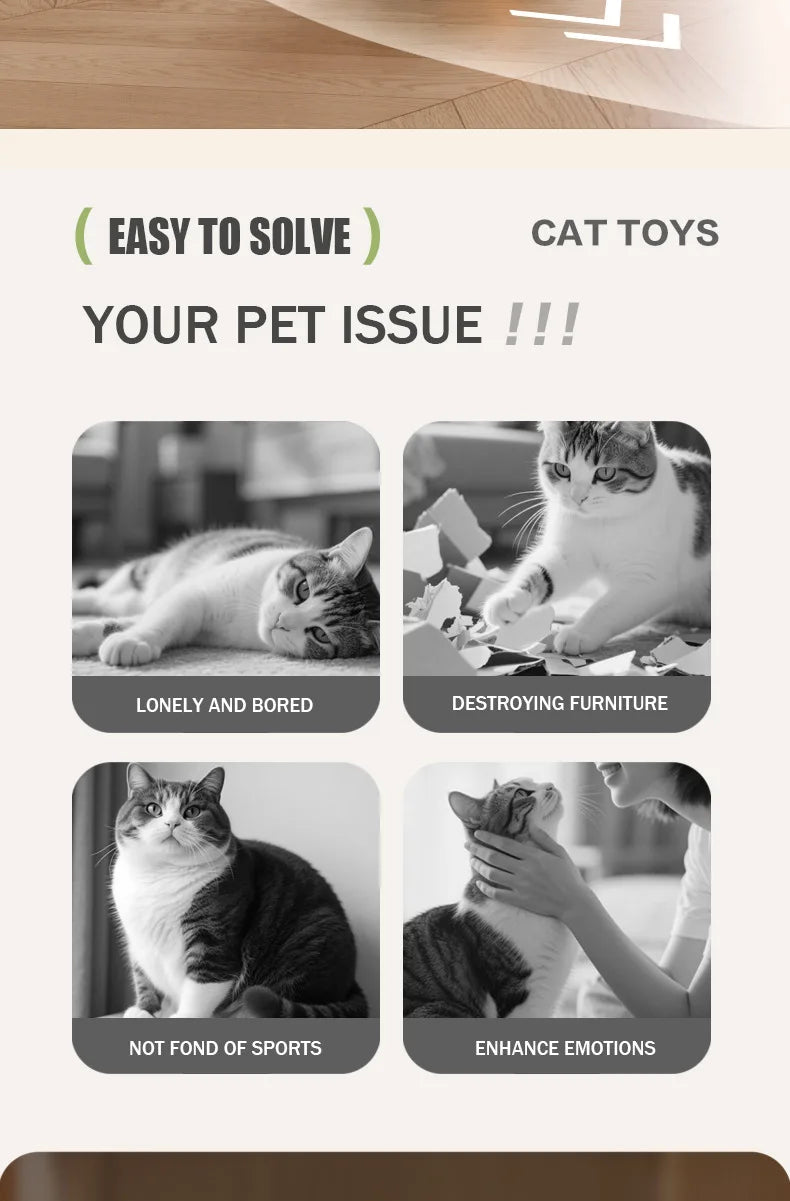 New pet self entertainment toy car, cat teasing tool, electric flying fish, intelligent running car, cat toy
