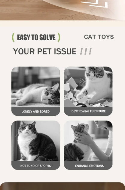 New pet self entertainment toy car, cat teasing tool, electric flying fish, intelligent running car, cat toy