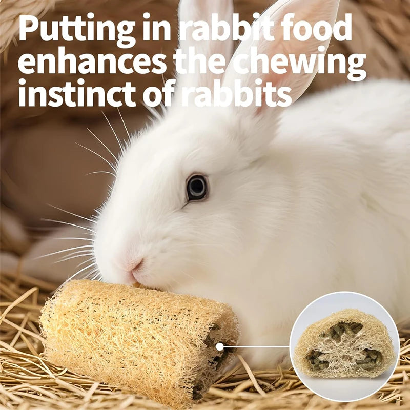 2PCS Rabbit Chew Toys, Natural Loofah Bunny Chew Toys for Teeth Cleaning, Small Animals Foraging Toy for Bunny Chinchilla