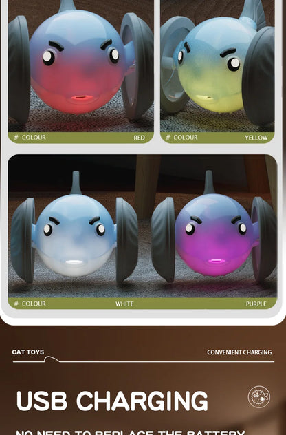 New pet self entertainment toy car, cat teasing tool, electric flying fish, intelligent running car, cat toy