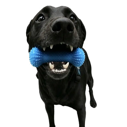 Dog Chew Toy Interactive Tug Rope Toy Quiet Durable Plastic Chew Stick With Gum Massage Nubs For Small Medium Dogs