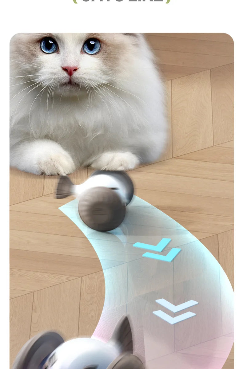 New pet self entertainment toy car, cat teasing tool, electric flying fish, intelligent running car, cat toy
