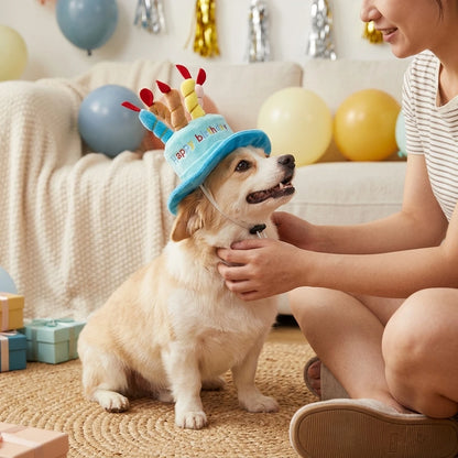 Pet Birthday Party Hat Toy Set For Cats and Dogs Elastic Comfortable Wear Bite Resistant Durable Photo Prop Gift