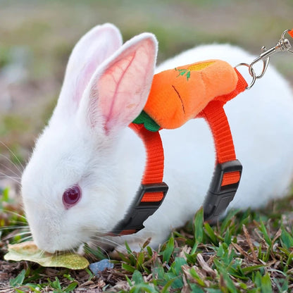 Small Animals Outdoor Wakling Supplies Cartoon Style Rabbit Harness and Leash Set for Bunnies Guinea Pig Bunny Accessoris Pet