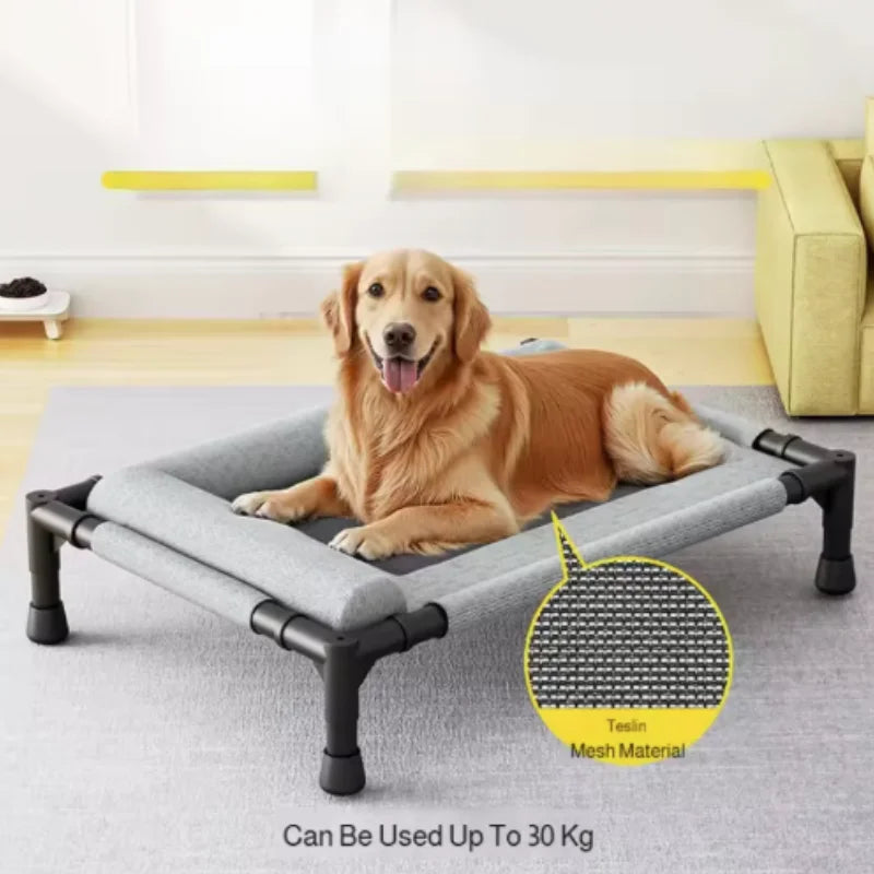 Medium Large Pet Bed Breathable Raised Mesh Sofa for Cats And Dogs with Removable Washable Pillow Moisture-Proof Off-the-Ground