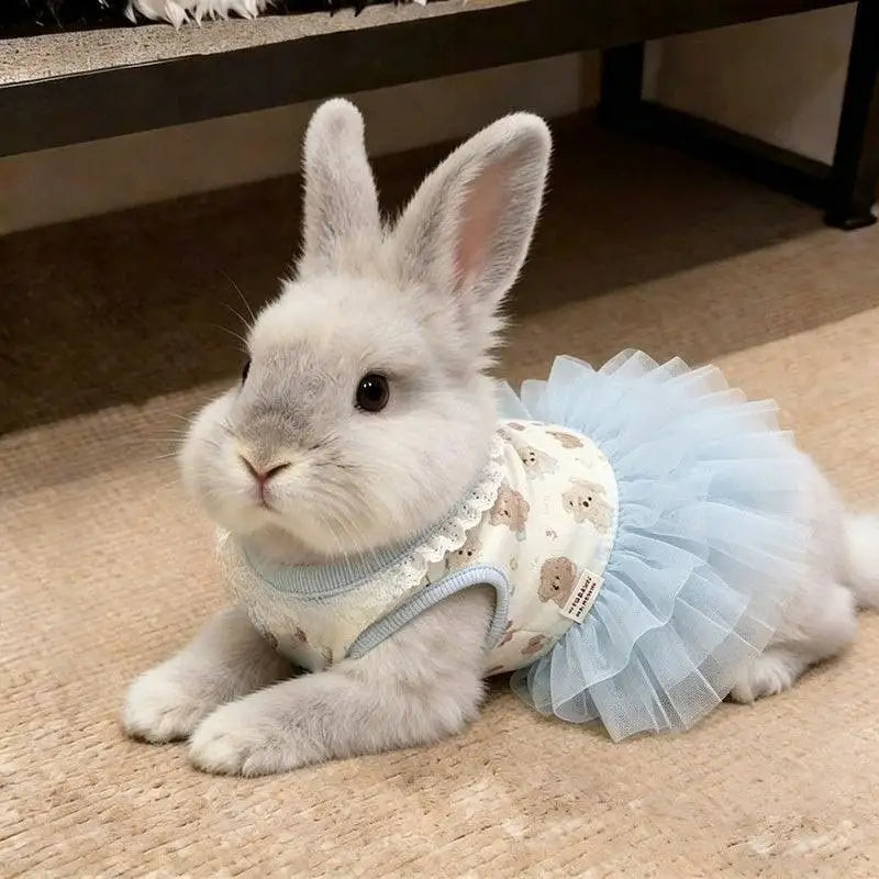 Pet Dresses Cat Pet Summer Clothes Pink Bow Teddy Skirt Small and Medium-sized Dog Cartoon Printed Vest Casual Female Dog Dress