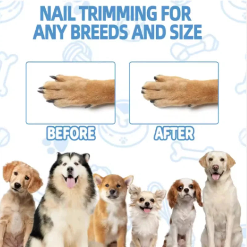 Wooden Pet Scratching Board with Built-in Treat Box Dog Nail Trim Pad Pull-Out Nail Scratch Board Toy Sandpaper Board Scratcher
