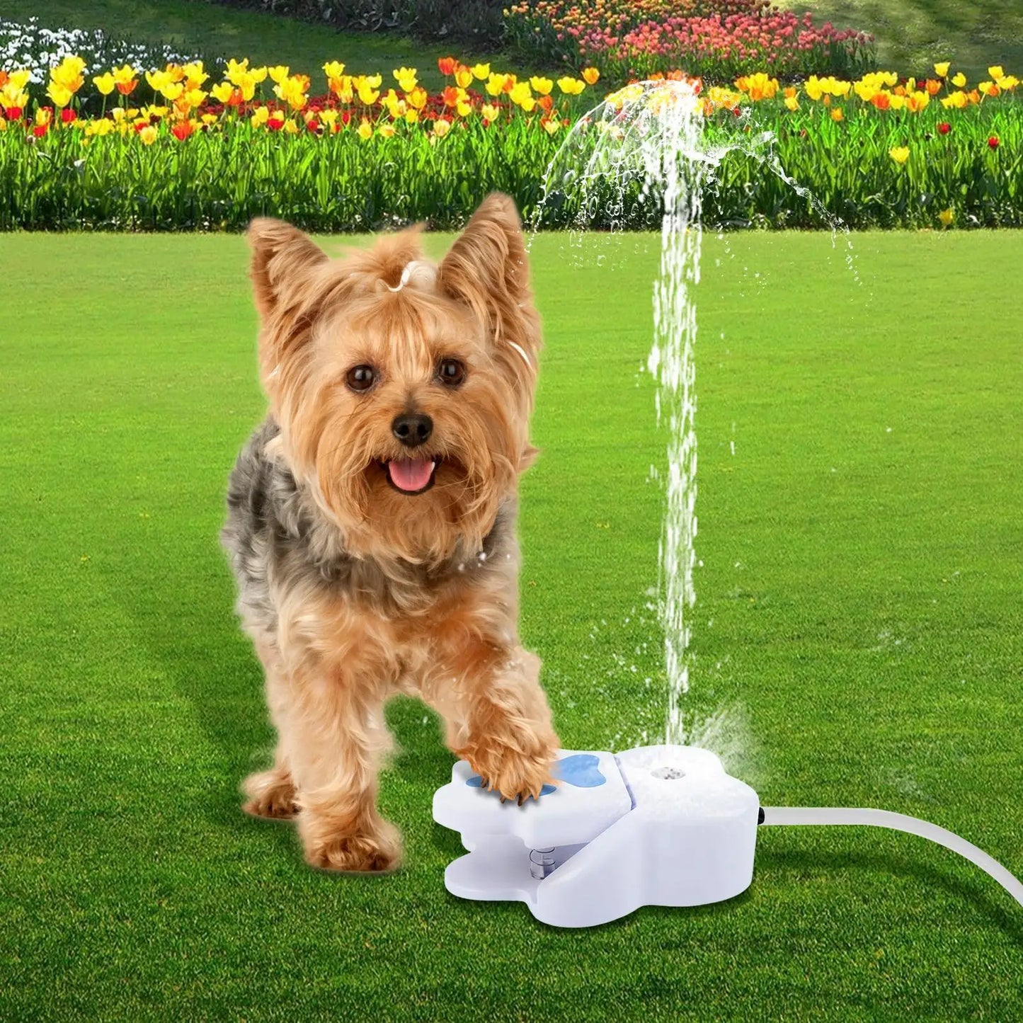Pet Water Fountain Step on Dog Drinking Fountain Paw Activated Puppy Sprinkler Step on Pet Drinking Dispenser for Outdoor Garden