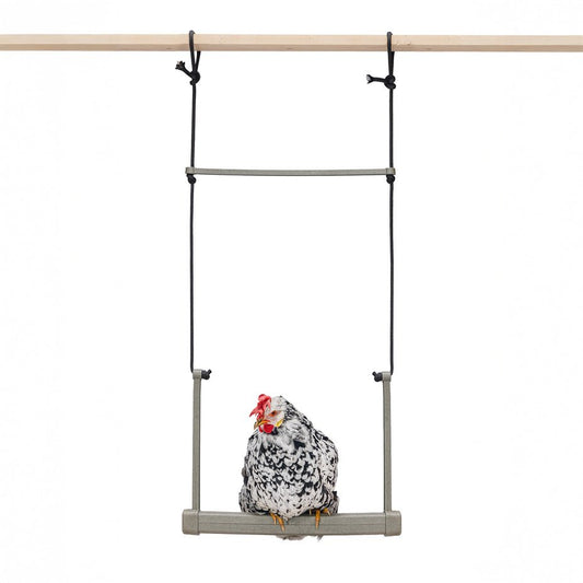 Backyard Chicken Swing – Durable, Recycled Material for Flock Activity